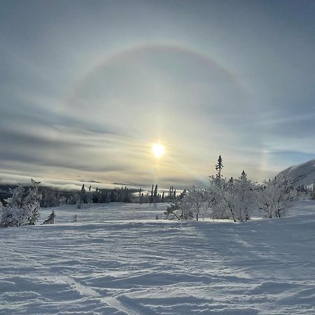 Villa Edvinsväg 8 Åre Exteriör bild